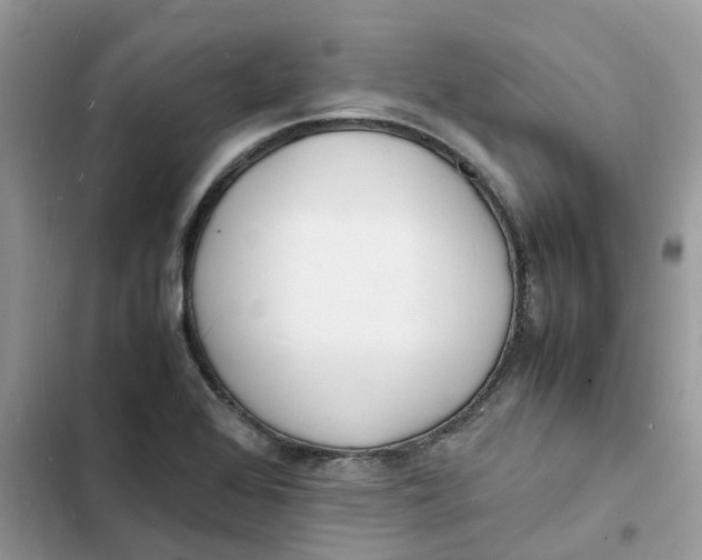 X0000103291368200809191819