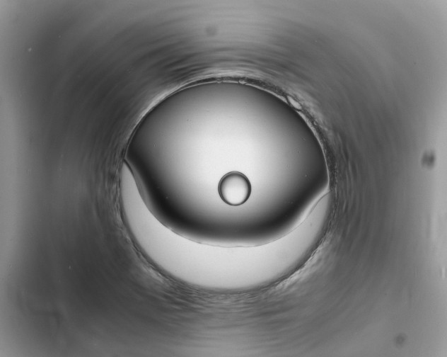 X0000103291369200809191819