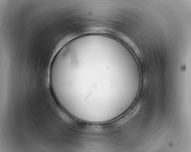 X0000103291370200809191819