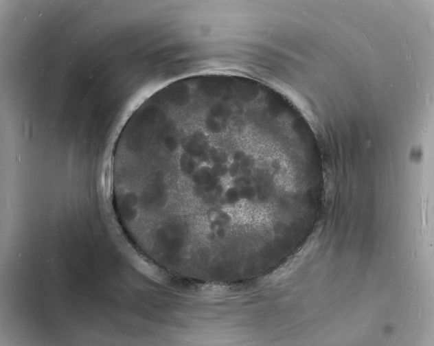 X0000103291371200809191819