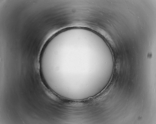 X0000103291372200809191819