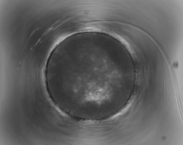 X0000103291373200809191819