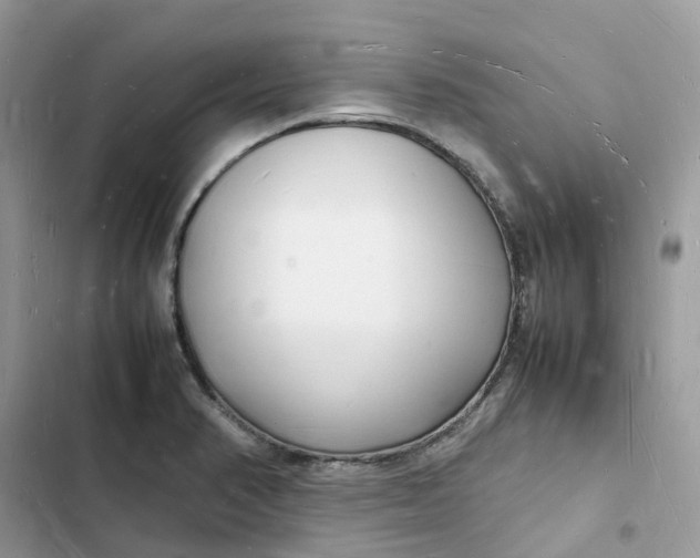 X0000103291374200809191819