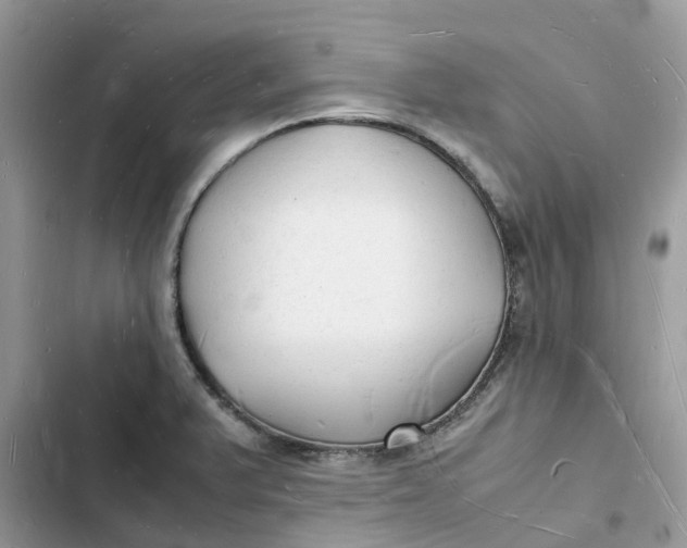 X0000103291375200809191819