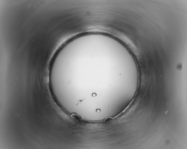 X0000103291376200809191819