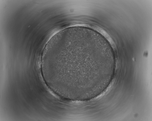 X0000103291377200809191819