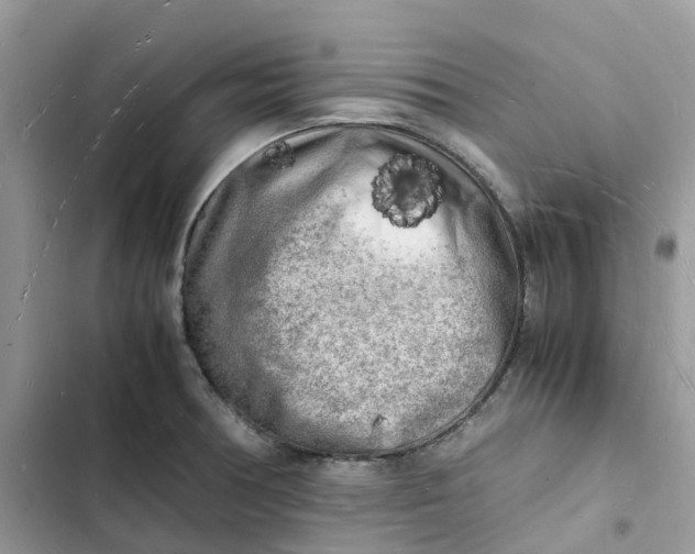 X0000103291378200809191819