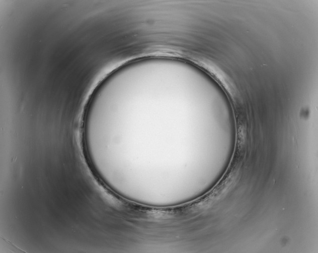 X0000103291379200809191819