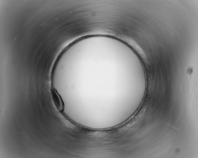 X0000103291380200809191819