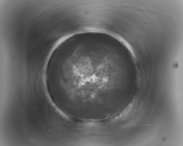 X0000103291381200809191819