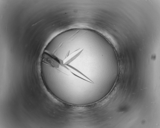 X0000103291382200809191819