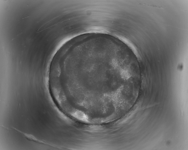 X0000103291383200809191819