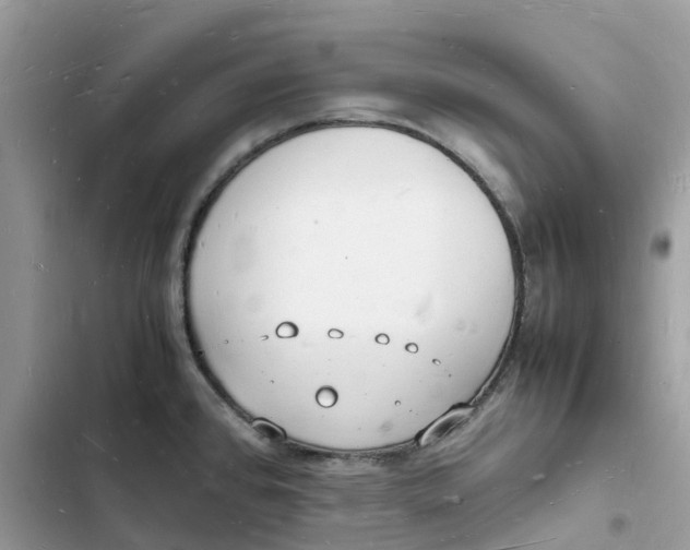 X0000103291384200809191819