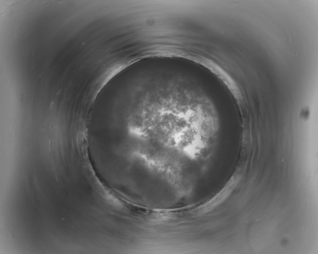 X0000103291385200809191819