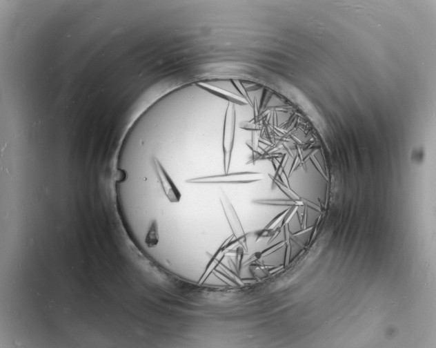 X0000103291386200809191819