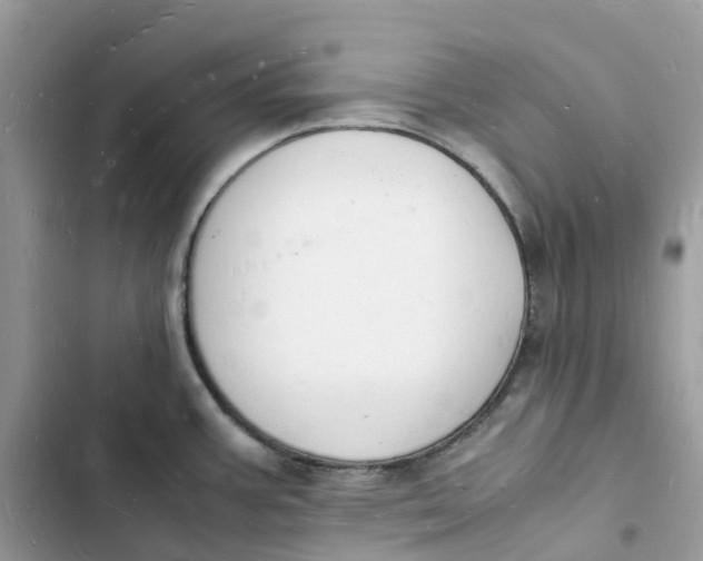 X0000103291387200809191819