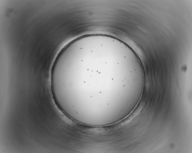 X0000103291388200809191819