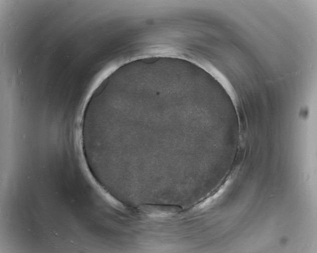 X0000103291389200809191819