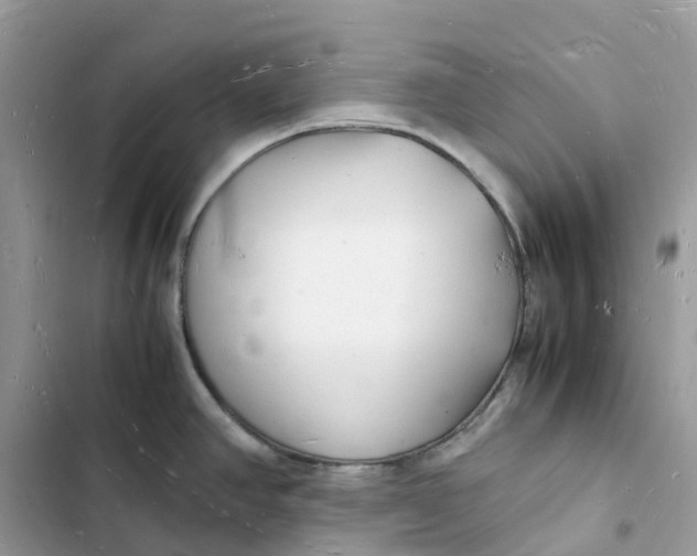 X0000103291390200809191819