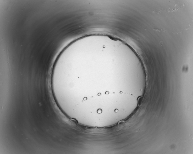 X0000103291392200809191819