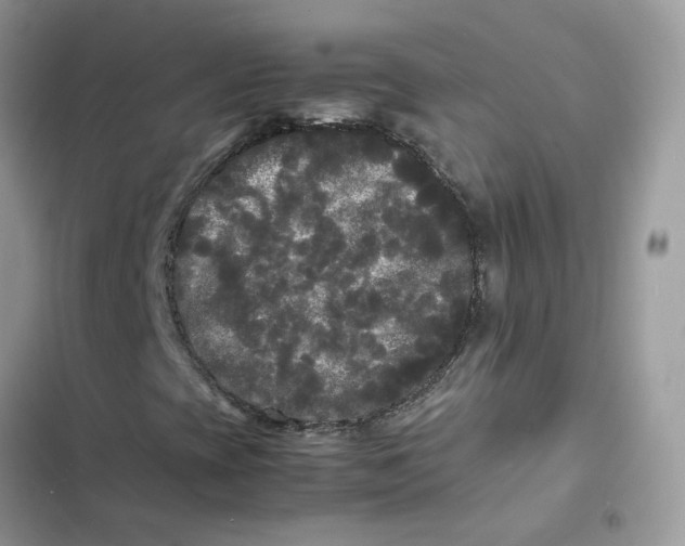 X0000103291393200809191818