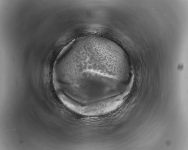 X0000103291394200809191818