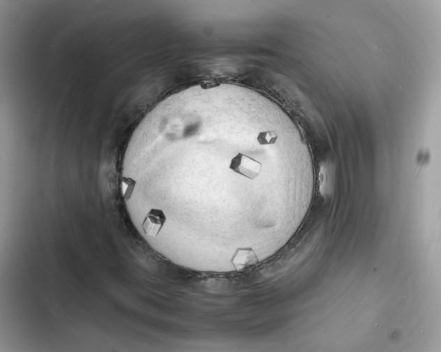 X0000103291395200809191818