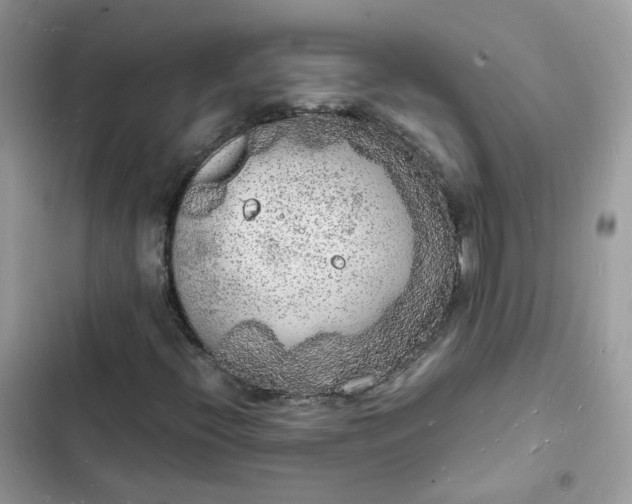 X0000103291396200809191818