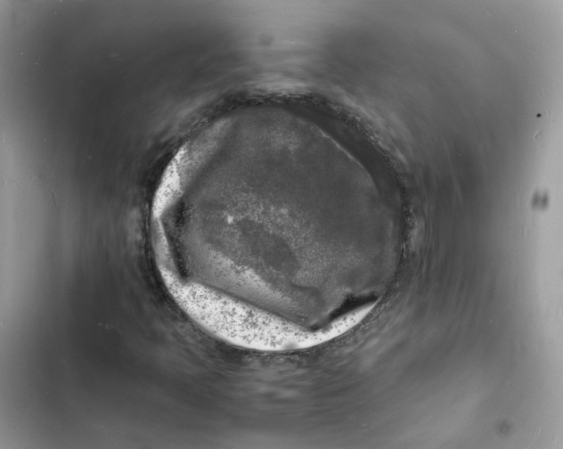 X0000103291397200809191818