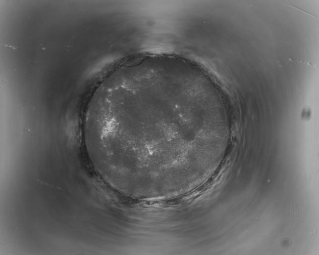 X0000103291398200809191818