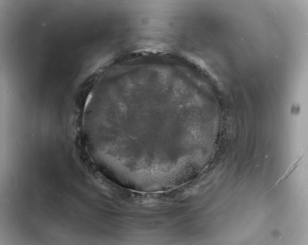 X0000103291399200809191818