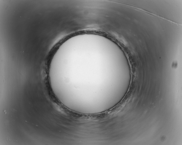 X0000103291400200809191818