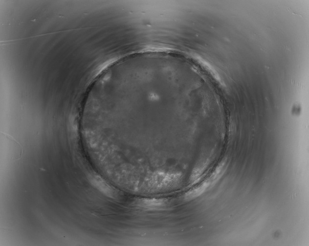 X0000103291401200809191818