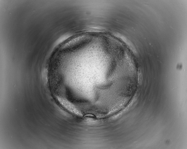 X0000103291402200809191818