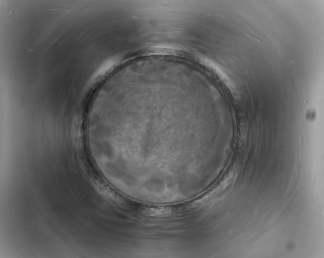 X0000103291403200809191818