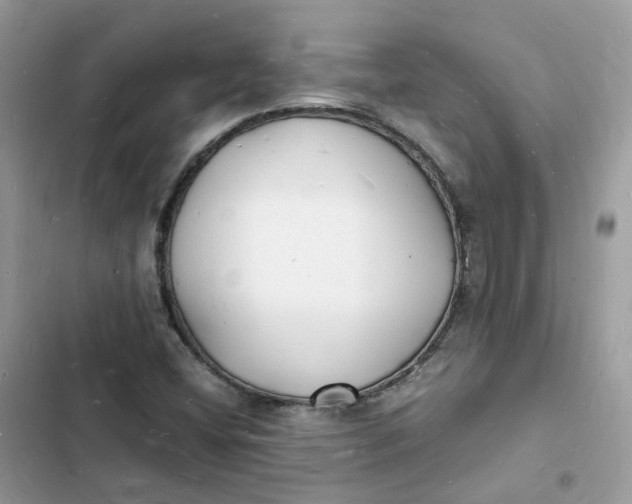 X0000103291404200809191818