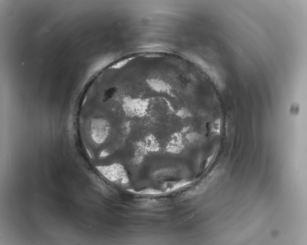 X0000103291405200809191818