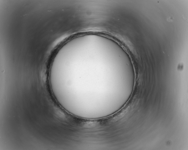 X0000103291406200809191818