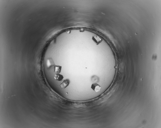 X0000103291407200809191818