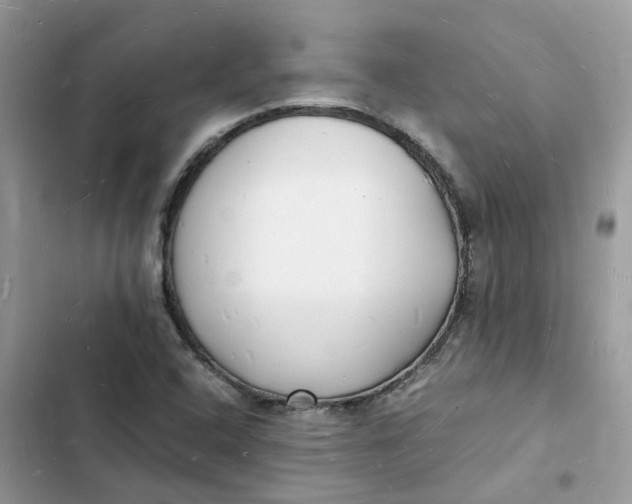 X0000103291408200809191818