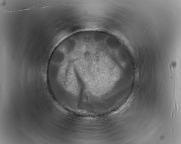 X0000103291409200809191818