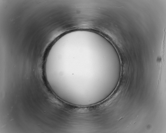 X0000103291410200809191818