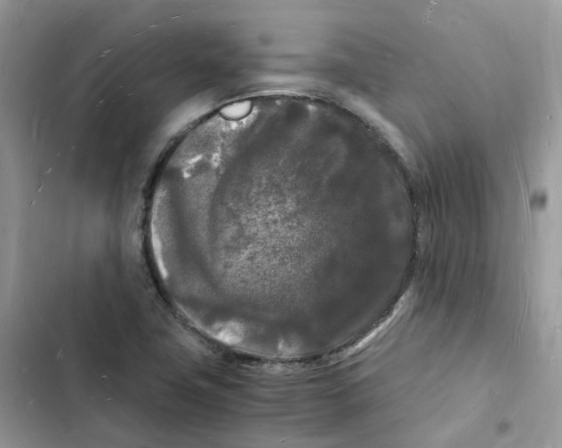 X0000103291411200809191818