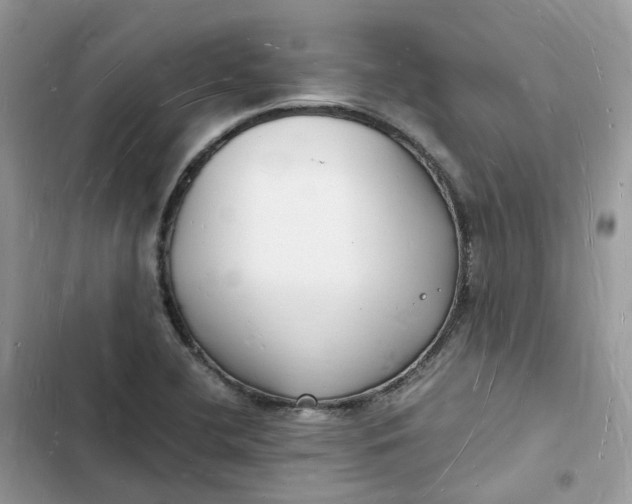 X0000103291412200809191818