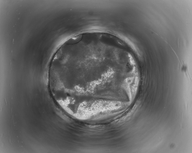 X0000103291413200809191818