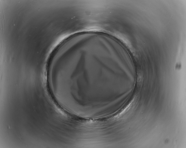 X0000103291414200809191819