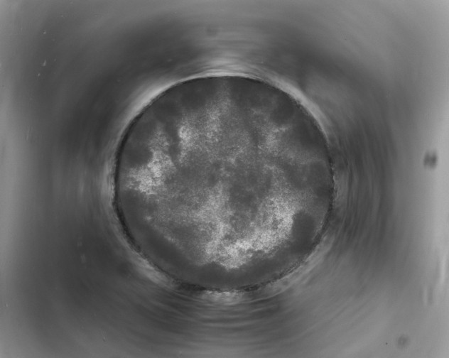 X0000103291415200809191819