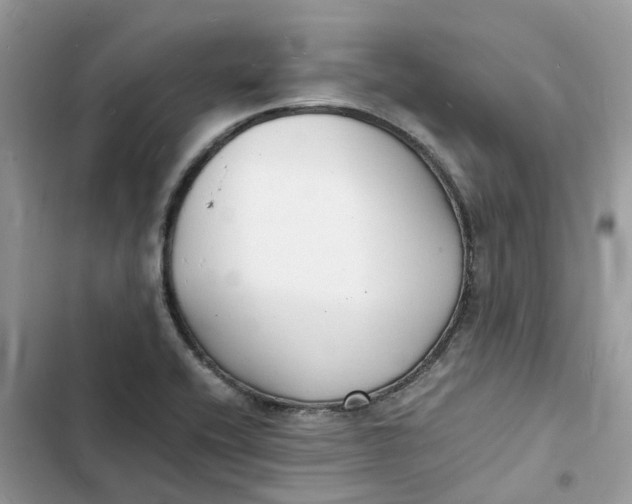 X0000103291416200809191819