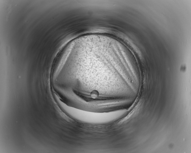 X0000103291417200809191819