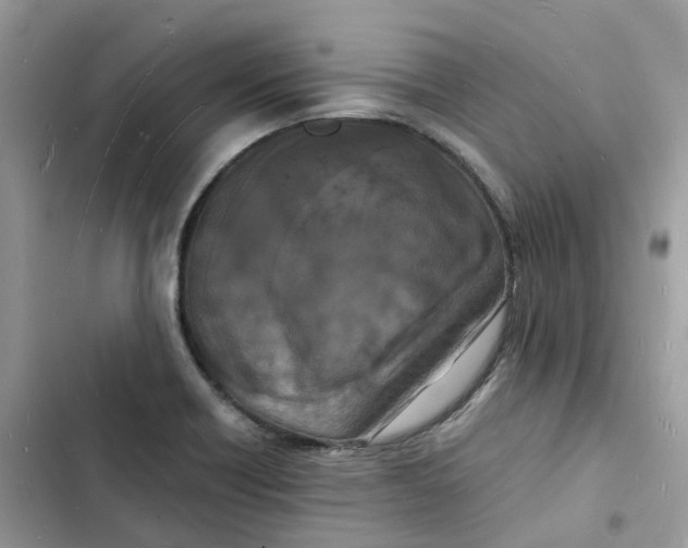 X0000103291418200809191819